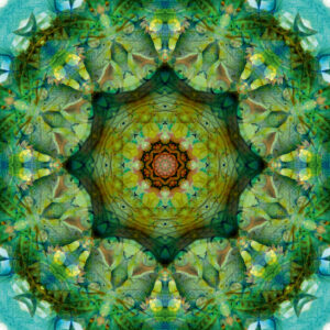 Composing flowers into a mandala ornament