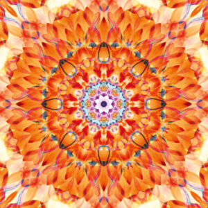 Composing flowers into a mandala ornament