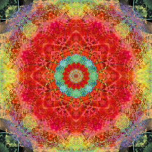 Composing flowers into a mandala ornament
