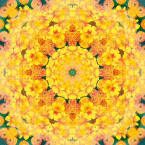 Composing flowers into a mandala ornament