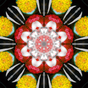 Composing flowers into a mandala ornament