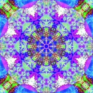 Composing flowers into a mandala ornament