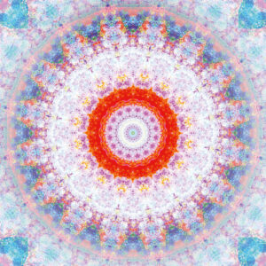 Composing flowers into a mandala ornament