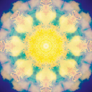 Composing flowers into a mandala ornament