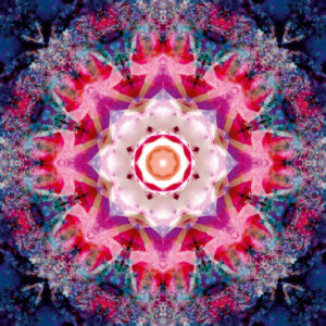 Composing flowers into a mandala ornament