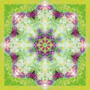 Composing flowers into a mandala ornament
