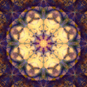 Composing flowers into a mandala ornament