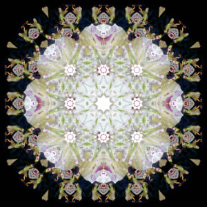 Composing flowers into a mandala ornament