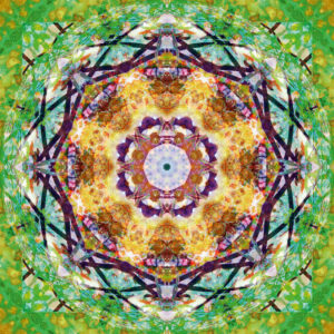 Composing flowers into a mandala ornament
