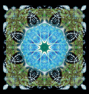 Composing flowers into a mandala ornament
