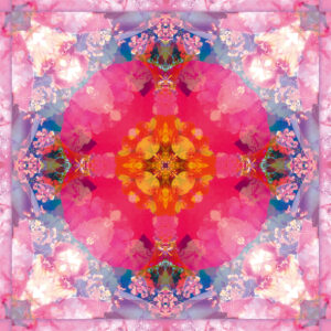 Composing flowers into a mandala ornament