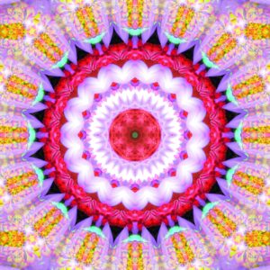 Composing flowers into a mandala ornament