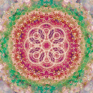 Composing flowers into a mandala ornament