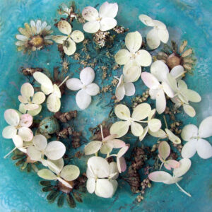 Composing white flowers on blue