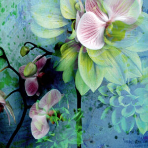 Composing flowers on blue background
