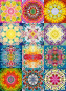Composing flowers into a mandala ornament