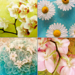 Composing flowers