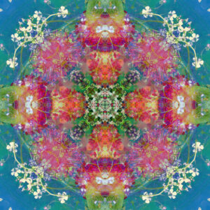 Composing flowers into a mandala ornament