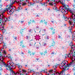 Composing flowers into a mandala ornament