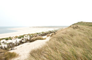 Germany, Schleswig - Holstein, dune landscape, North Sea, Germany, Schleswig - Holstein, dune landscape, North Sea,