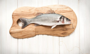 Animal preparation, fishing, wolf perch, fishing, hook, wooden board, wall, decoration, Animal preparation, fishing, wolf perch, fishing, hook, wooden board, wall, decoration,