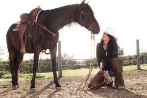 Rider kneels in front of western horse on the paddock, 