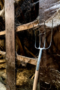 Hayfork leaning against a wall covered with spider webs and hay remains