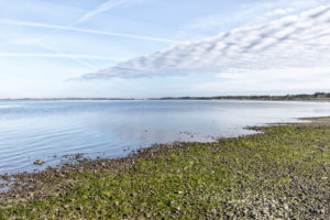 View at the sea from the shore on the Björnsholm Limfjorden bay in Denmark 