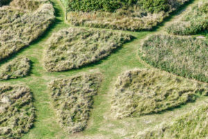 Pattern on green meadow