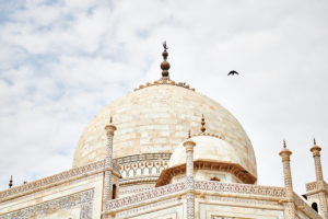 Dome, sky, clouds, bird, the Taj Mahal, mausoleum, India, Agra, Uttar Pradesh Dome, sky, clouds, bird, the Taj Mahal, mausoleum, India, Agra, Uttar Pradesh