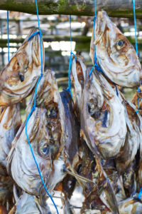 Iceland, fish delicatesse, Hardfiskur, Icelandic Dried Fish heads Iceland, fish delicatesse, Hardfiskur, Icelandic Dried Fish heads