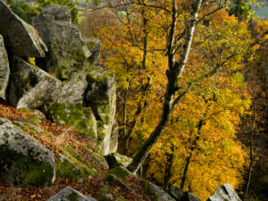 Deutschland, Hessen, Naturpark Hessische Rhön, UNESCO-Biosphärenreservat, die Steinwand bei Poppenhausen, Herbst Deutschland, Hessen, Naturpark Hessische Rhön, UNESCO-Biosphärenreservat, die Steinwand bei Poppenhausen, Herbst
