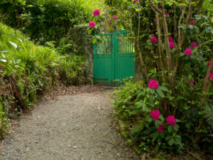 Irland, Donegal, Glenveagh Nationalpark, Gartenanlage von Glenveagh Castle, grünes Gartentor, Gartenmauer, blühender Rhododendronstrauch Irland, Donegal, Glenveagh Nationalpark, Gartenanlage von Glenveagh Castle, grünes Gartentor, Gartenmauer, blühender Rhododendronstrauch