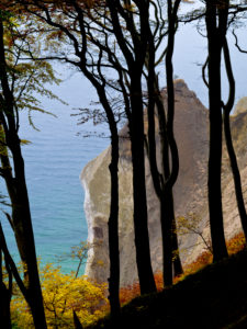 Europa, Deutschland, Mecklenburg-Vorpommern, Insel Rügen, Nationalpark Jasmund, UNESCO-Weltnaturerbe Europäische Buchenwälder, herbstbunte Rotbuchen an der Steilküste am Wissower Klinken Europa, Deutschland, Mecklenburg-Vorpommern, Insel Rügen, Nationalpark Jasmund, UNESCO-Weltnaturerbe Europäische Buchenwälder, herbstbunte Rotbuchen an der Steilküste am Wissower Klinken
