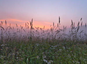 Europa, Deutschland, Hessen, Ederbergland, Naturpark Nationalpark Kellerwald-Edersee, Morgenstimmung mit Nebel in den Ederauen bei Herzhausen Europa, Deutschland, Hessen, Ederbergland, Naturpark Nationalpark Kellerwald-Edersee, Morgenstimmung mit Nebel in den Ederauen bei Herzhausen