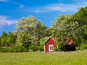 Europa, Schweden, Smaland, Insel Öland, Schwedenhäuser bei Algutsrum, blühende Bäume Europa, Schweden, Smaland, Insel Öland, Schwedenhäuser bei Algutsrum, blühende Bäume