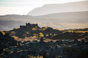 Island, Myvatn, Lavafeld Dimmuborgir, Pseudokrater, Herbstlaub, Gegenlicht, Abendlicht Island, Myvatn, Lavafeld Dimmuborgir, Pseudokrater, Herbstlaub, Gegenlicht, Abendlicht