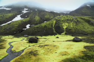 Iceland, Fjallabak, brook in Iceland moss, rainy mood, bilious green, snow remains Iceland, Fjallabak, brook in Iceland moss, rainy mood, bilious green, snow remains