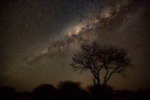 Milky Way over the Kalahari desert, southern Starry sky, Namibia Milky Way over the Kalahari desert, southern Starry sky, Namibia