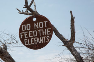 Sign "do not feed the elefants" at a tree, Himbaland, Namibia Sign "do not feed the elefants" at a tree, Himbaland, Namibia
