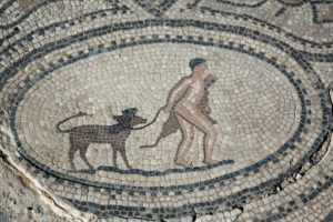 Römisches Mosaik in Volubilis, Marokko Römisches Mosaik in Volubilis, Marokko