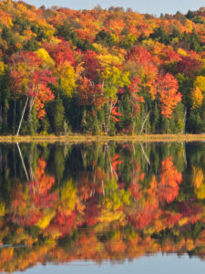 Canada, Ontario, Algonquin wilderness Canada, Ontario, Algonquin wilderness