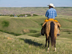 Cowboy on horse Cowboy on horse