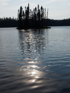 Algoma region, autumn, black spruce, Kanada, conifers, Ontario, islet Algoma region, autumn, black spruce, Kanada, conifers, Ontario, islet