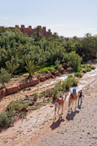Ait Benhaddou, man with 2 camels, Morocco, animals, architecture Ait Benhaddou, man with 2 camels, Morocco, animals, architecture