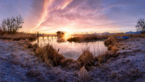 Lake shore with boathouse at Lake Chiemsee Lake shore with boathouse at Lake Chiemsee