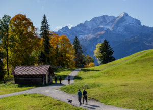 People with dogs hiking on the Eckbauer in autumn, view towards the Wetterstein Mountains with Alpspitze, blue sky, Bauernstadel, trees, hiking trail, Garmisch-Partenkirchen, Upper Bavaria, Bavaria, southern Germany, Germany People with dogs hiking on the Eckbauer in autumn, view towards the Wetterstein Mountains with Alpspitze, blue sky, Bauernstadel, trees, hiking trail, Garmisch-Partenkirchen, Upper Bavaria, Bavaria, southern Germany, Germany