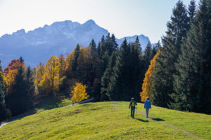 Man and woman hiking on meadow at Eckbauer in autumn, looking towards Wetterstein Mountains with Alpspitze and Zugspitze, blue sky, trees, hiking trail, Garmisch-Partenkirchen, Upper Bavaria, Bavaria, southern Germany, Germany Man and woman hiking on meadow at Eckbauer in autumn, looking towards Wetterstein Mountains with Alpspitze and Zugspitze, blue sky, trees, hiking trail, Garmisch-Partenkirchen, Upper Bavaria, Bavaria, southern Germany, Germany