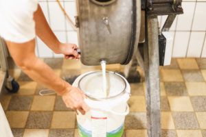 Herstellung von Butter, ablassen der Buttermilch Herstellung von Butter, ablassen der Buttermilch