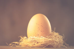 Ein Hühnerei im Nest, Ostermotiv, Ein Hühnerei im Nest, Ostermotiv,